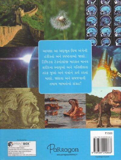 GYAN - Image 2