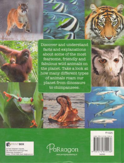 WILD WORLD - Image 2