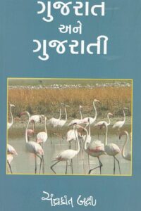 GUJARAT ANE GUJARTI