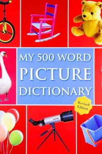 MY 500 WORD PICTURE DICTIONARY